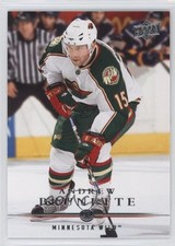 2008-09 Upper Deck Andrew Brunette #347 i3a