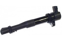 Mapco ZüNdspule 80002 FüR Fiat Stilo Palio Doblo GroßRaumlimousine Multi Wagon