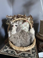 Vintage Realistic White Gray Cat 5"×4" in Basket Rabbit Fur Figurine