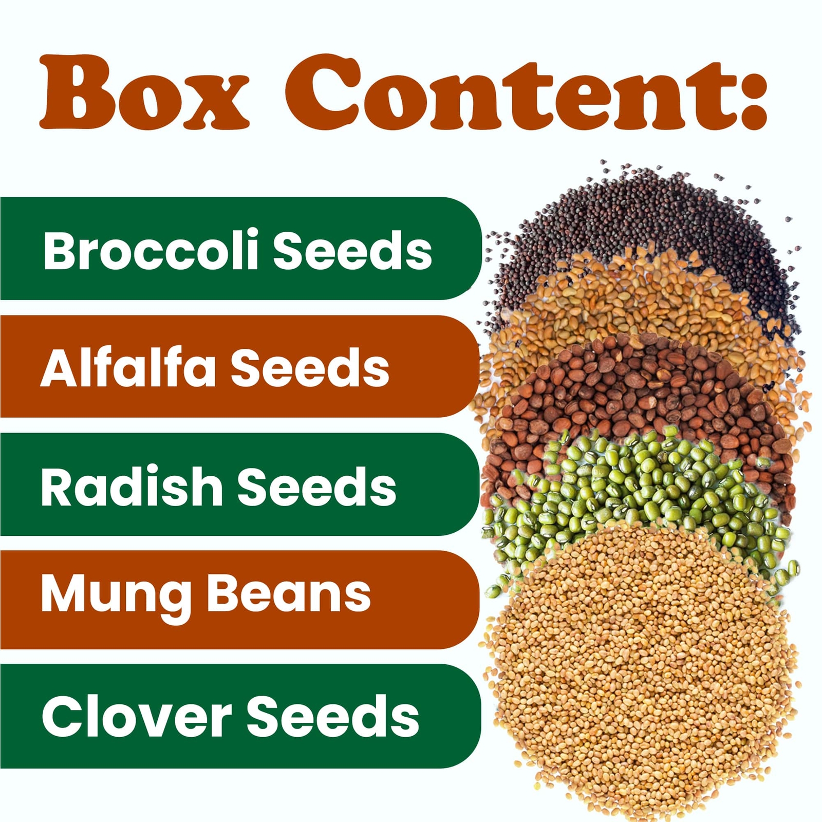 Organic Sprouting Seeds - Gift Box by Food to Live (Non-GMO,Kosher)