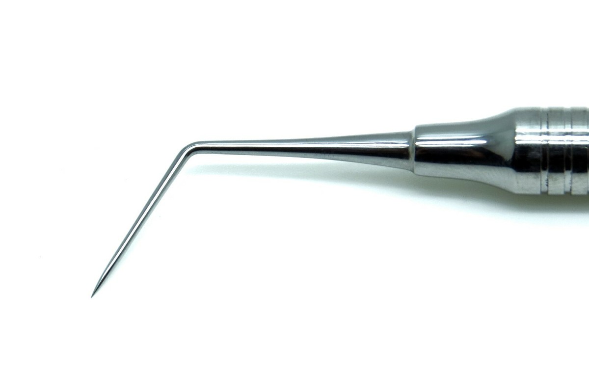 Il Nuovo Igienista Dentale:«una Professione Intellettuale - Foto 9