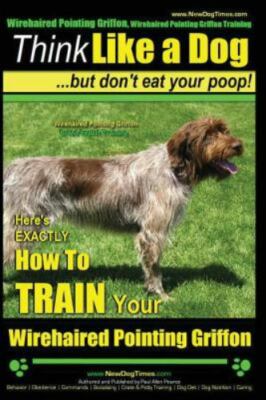 Wirehaired Pointing Griffon, Wirehaired Pointing Griffon Training Think Like...