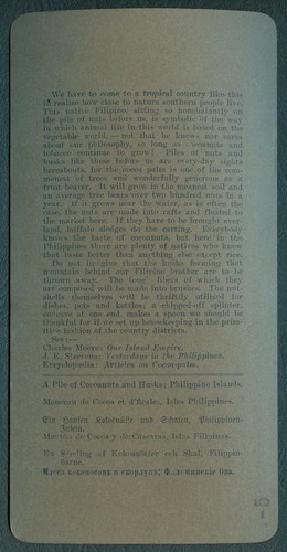 1901 Philippines PILE OF COCOANUTS AND HUSKS Stereoview Card - Picture 2 of 3