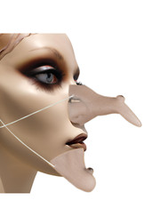Witch's Nose and Chin Halloween Costume Accessory Witch Costume Props