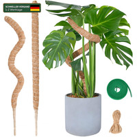 Moosstab Monstera 2X 60Cm Biegsame Rankhilfe Kokosstab FüR Kletterpflanzen