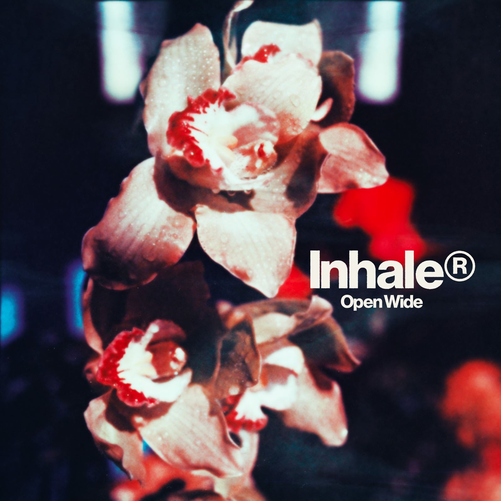 Inhaler - Open Wide (Polydor) CD Album