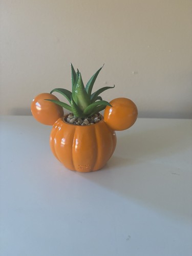 Mickey Halloween Kürbis Sukkulentenlicht. NEU - Bild 3 von 7