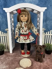American Girl Truly Me #52 + Chocolate Lab Puppy, Custom Wig & Outfit LOT