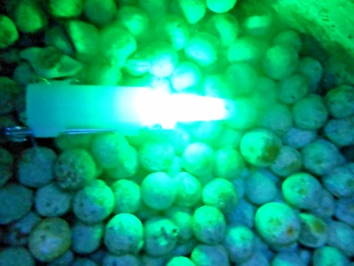 BEAVER Buceo AUTO SEGURIDAD ESTROBOSCÓPICA barco RIB chaleco salvavidas SNORKEL natación VELA mar