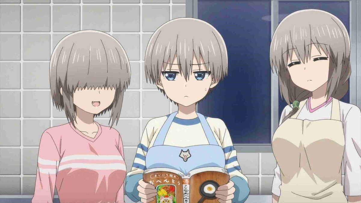 Uzaki-chan Wants to Hang Out! Season 1 + 2 - DVD with English