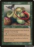 Anurid Swarmsnapper [JUD - 105]