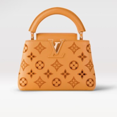 NEW **RARE** ** LIMITED EDITION**Authentic Louis Vuitton Capucines