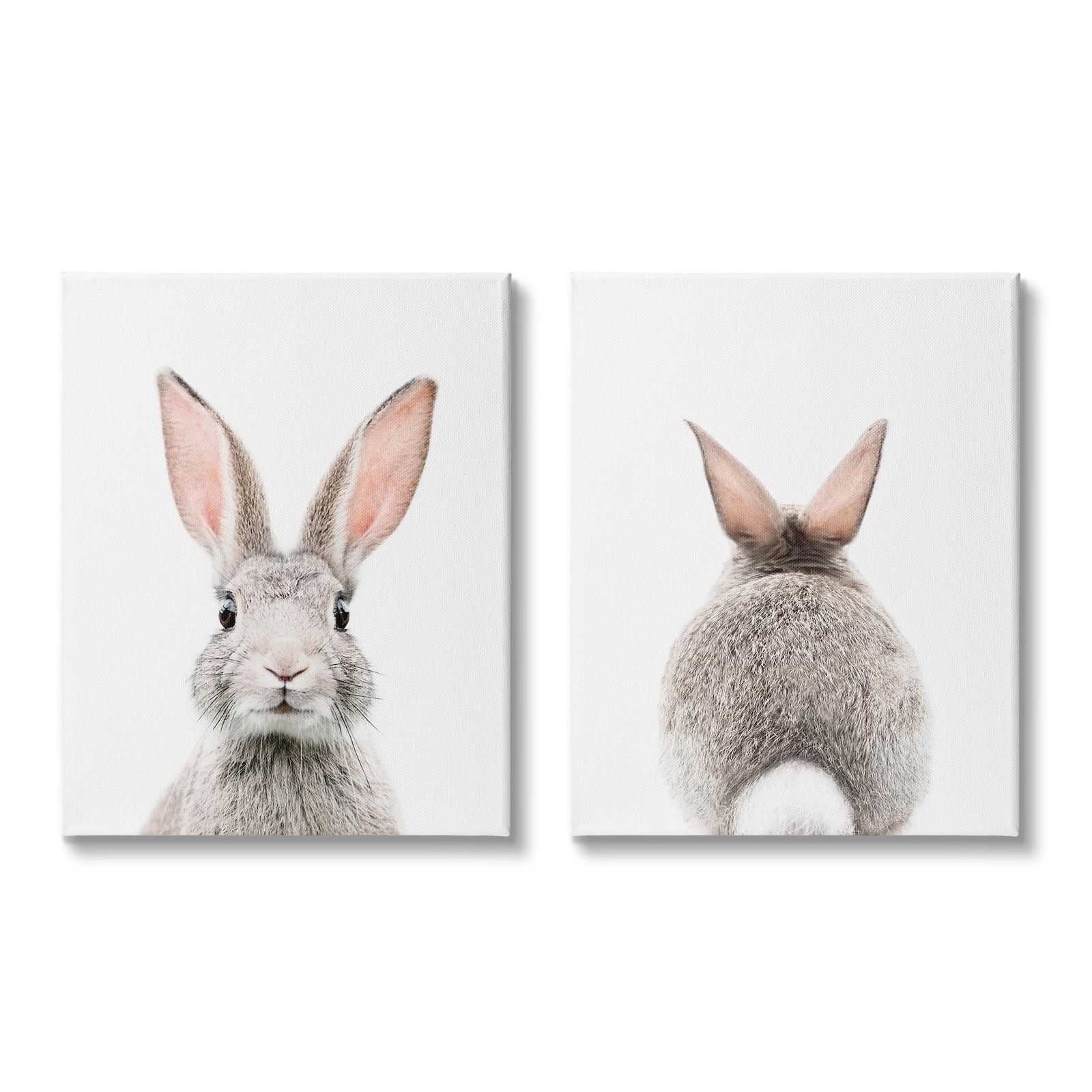 Back & Front Bunnies 2 Piece Canvas Wall Art Set Design by Sisi and Seb
