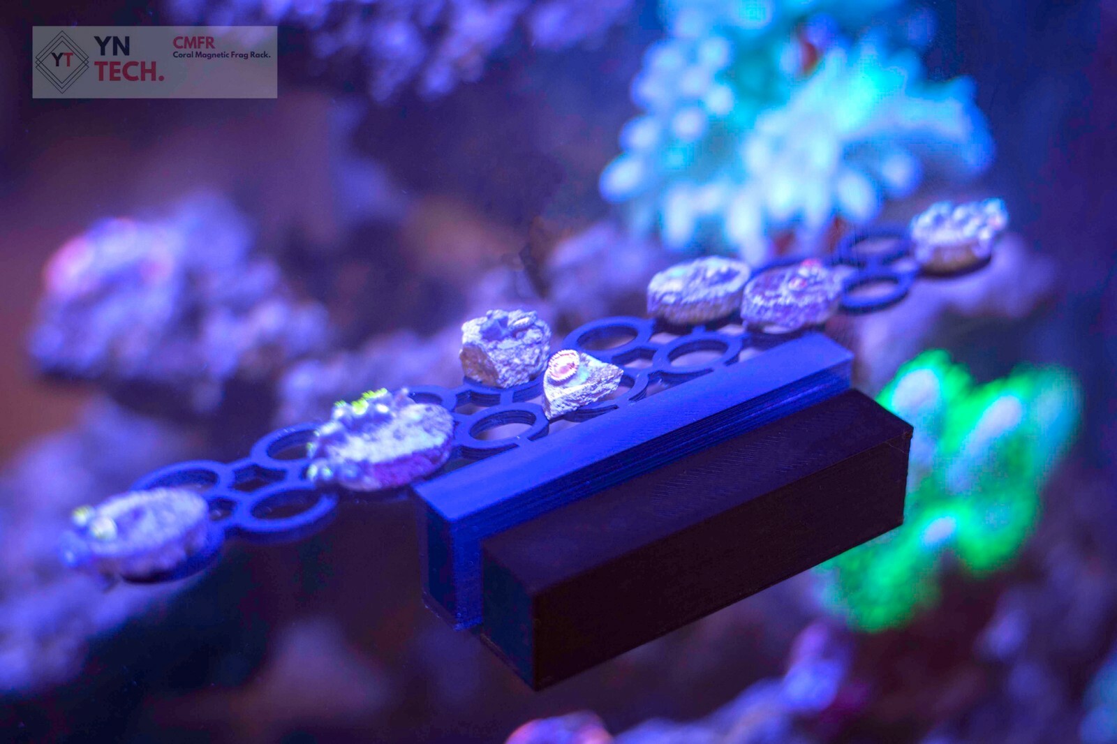 YNTech. Reefing Frag Rack Strong Sealed CENAMIC