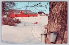 Maple Sugar Time in New England Winter Scene Chrome Postcard