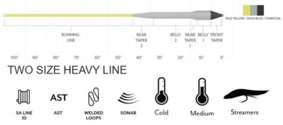Soie De Pêche à La Mouche Scientific Anglers Sonar Titan Mini Tip - WF9F/S5 - 143028