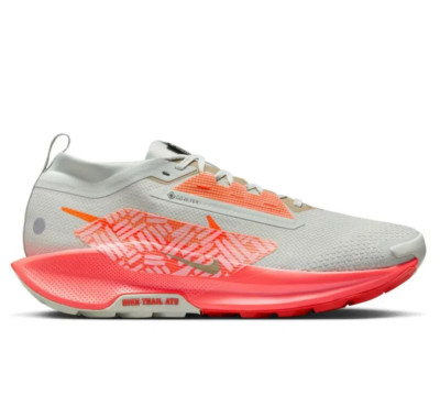 Nike Pegasus Trail 5 Gore-Te Men Running Light Silver FQ0908-004 NEW