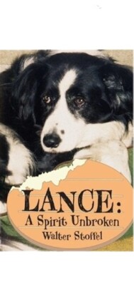 Lance: A Spirit Unbroken by Stoffel, Walter, Brand New.