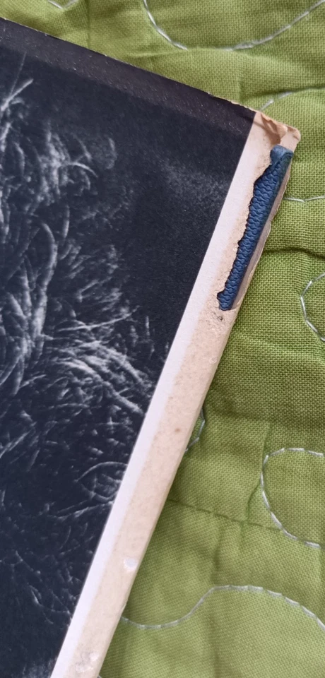 The English Patient by Michael Ondaatje First UK Edition 1992  GOOD | FREE POST - Image 4 of 4