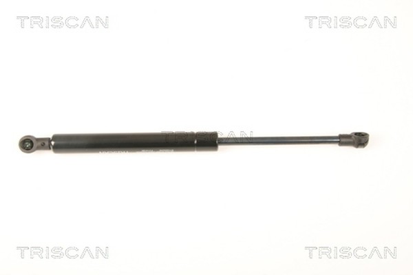 Triscan Heckklappen DäMpfer Gasfeder Kofferraum 8710 25249 FüR Renault Megane 1-image