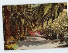 Postcard Palms Avenue San Benedetto Del Tronto Italy