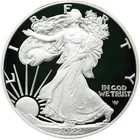 2022-W $1 American Silver Eagle Brilliant Uncirculated Proof .999 1 oz OGP & COA