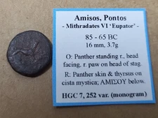 Mithradates Vi Eupator Coin. Amisos Pontos Panther Standing And Skin! 86-65 BC