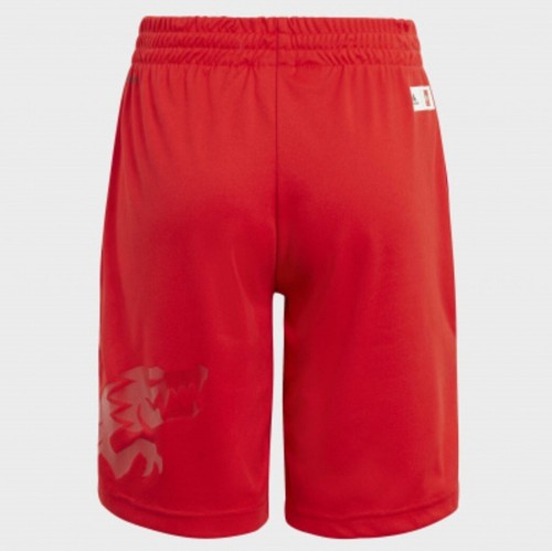 NWT ADIDAS X LEGO NINJAGO KAI T-SHIRT AND SHORTS SET GQ4153 BOYS L RED $70 MSRP - Picture 5 of 15