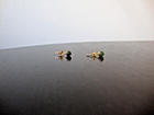 Bild 3 von 12