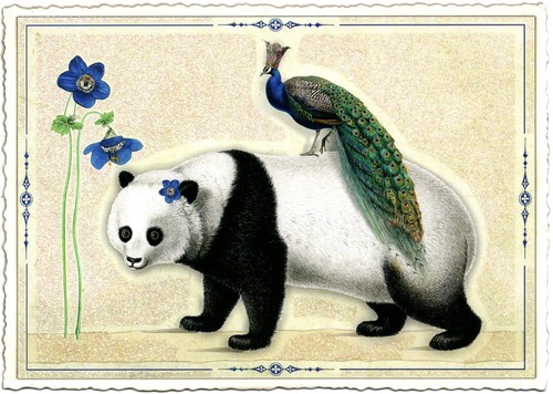 Edition Tausendschön | Postkarte A6 | Flora & Fauna | Motiv wählbar - Bild 67 von 78