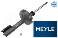 Meyle 16-266230010 StoßDäMpfer StossdäMpfer Vorderachse Vorne FüR Renault