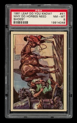 1961 Leaf Do You Know? Set-Break # 41 Why Do Horses Need Shoes? PSA 8