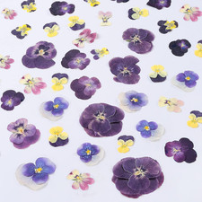 48 Pcs Mix Natural Dried Pressed Flowers for Cake Decorating, Real Dry Flower