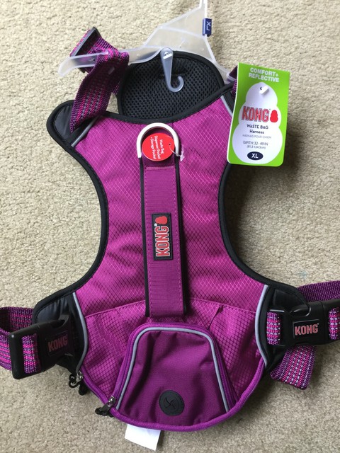 dallas cowboys dog bed