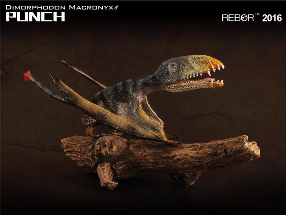 REBOR Pterosaur DIMORPHODON MACRONYX PUNCH JUDY Dinosaur Model