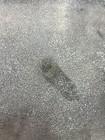 Picture 6 of 6