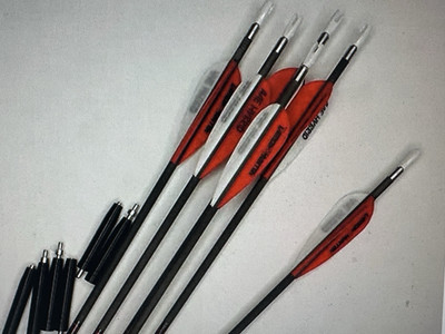 AAE DEMON HUNTER 45- SPINE FLETCHED ARROWS/ Free Shipping !! Ret