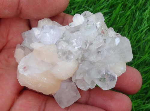 Glassy Pointed Apophyllite On Stilbite Minerals Specimen India BO=25 - Picture 5 of 7