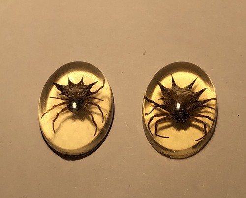 Vintage Spider In Resin Small 1” Set Of 2 - Picture 1 of 6