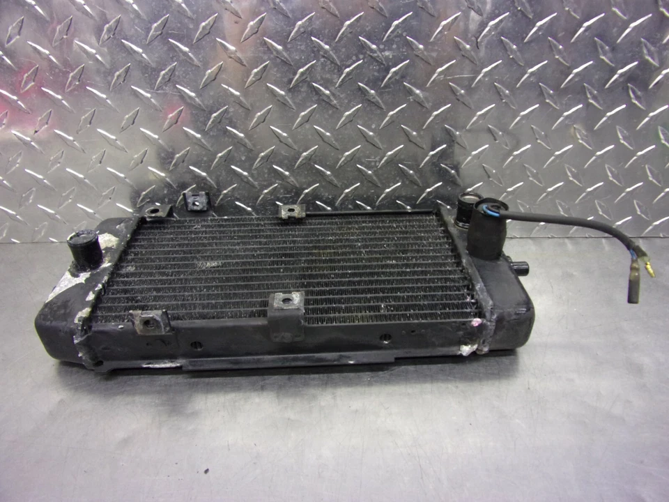 638 A KAWASAKI VULCAN EN 500 EN500 2006 RADIADOR OEM Foto 4 de 4