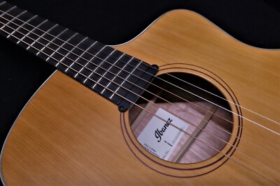 Ibanez PA230E NSL Platinum Collection. Acoustic Electric Solid