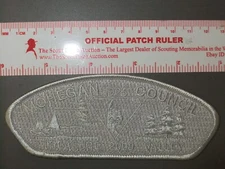 Boy Scout Mohegan Council CSP SAP 8294II