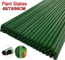 Hydroponics Garden Plant Stakes Support Sticks Canes Pole Grow Tools 24/48/120x