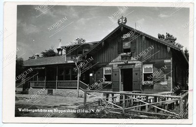 Foto AK - Wallbergerhütte am Roppersberg NÖ, Wolfsgraben Wienerwald (A1502)