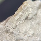 Foto 20 di 21