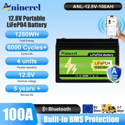 LiFePO4 Batterie 12V 100Ah Akku Zyklen Wohnmobil Solaranlage BMS 1280Wh Boot EU