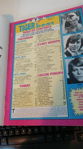 Tiger Beat Magazine-Sept 1980-Special 114 Page Birthday Issue(RARE) - Picture 2 of 5