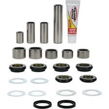 PIVOT WORKS KTM LINKAGE BEARING KIT