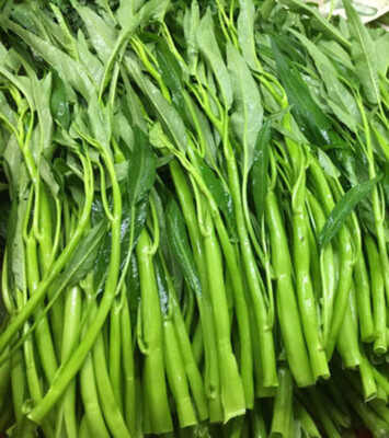 #ad 50Thai Water Spinach seeds Ong Choy Kangkong Rau Muong Kongxi Cai Vegetable USA $2.95