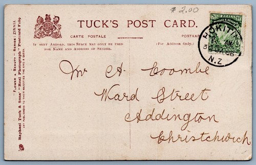 Postal Grande Letra Z Molle Zanfretti Flores Y Belleza De Colección - Imagen 2 de 2
